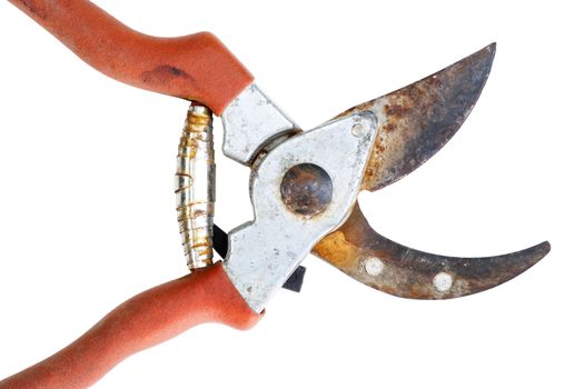 Detail of the old rusty clippers - garden shears