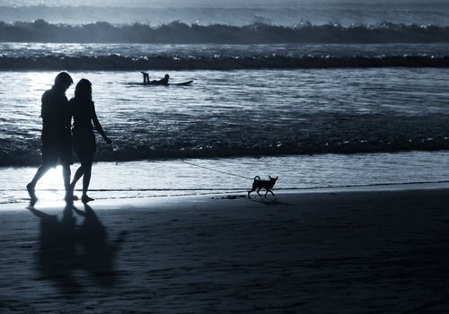 Couple with dog on sunset. Coast of the Indian ocean