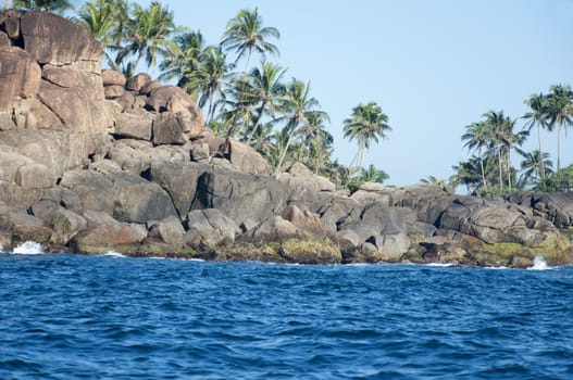 The seashore of Unawatuna, Sri Lanka dotted with palm trees