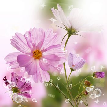 The beautiful spring flower design.Nature backgrounds