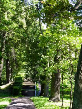 landscape path to the stairs in the park