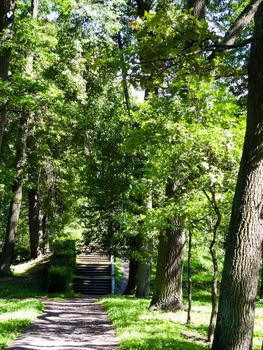 landscape path to the stairs in the park