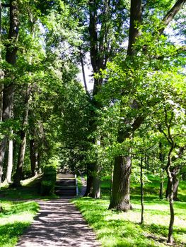 landscape path to the stairs in the park