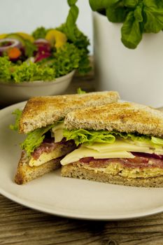 fresh tasty club sandwich with cheese and ham on wooden table