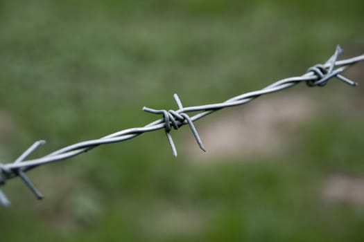 Close up of a strand of barbed wire