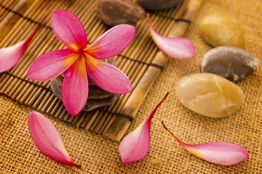 Tropical spa with frangipani flowers.