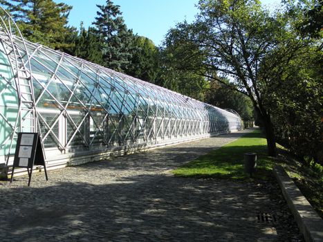 Photo of a long greenhouse in Prague.