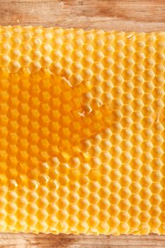 fresh honey in comb 