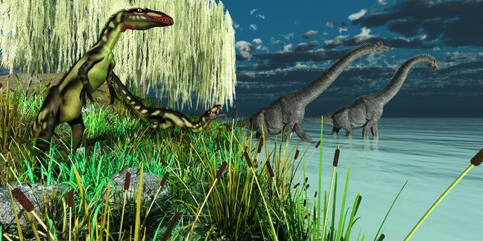 Small Dilong dinosaurs watch as two Brachiosaurus dinosaurs wade across a lake.