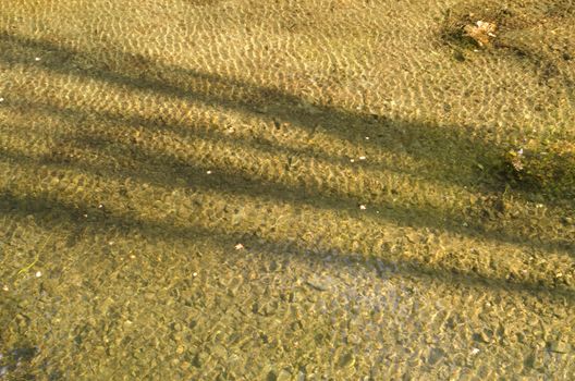 Rippled water background pattern in warm sun light with shadow of tree