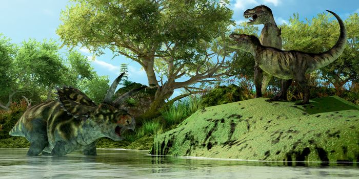 Two Tyrannosaurus dinosaurs roar in frustration as Coahuilaceratops dinosaur uses the water as a refuge from attack.