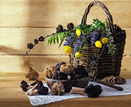 wild mushrooms with flowers in a basket