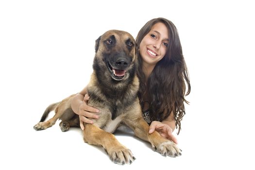 purebred belgian sheepdog malinois with young girl on a white background