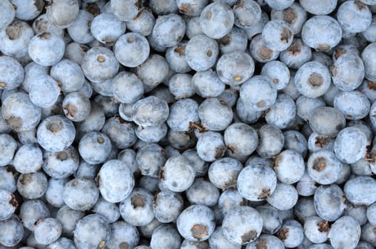 background of a ripe blueberries, close up