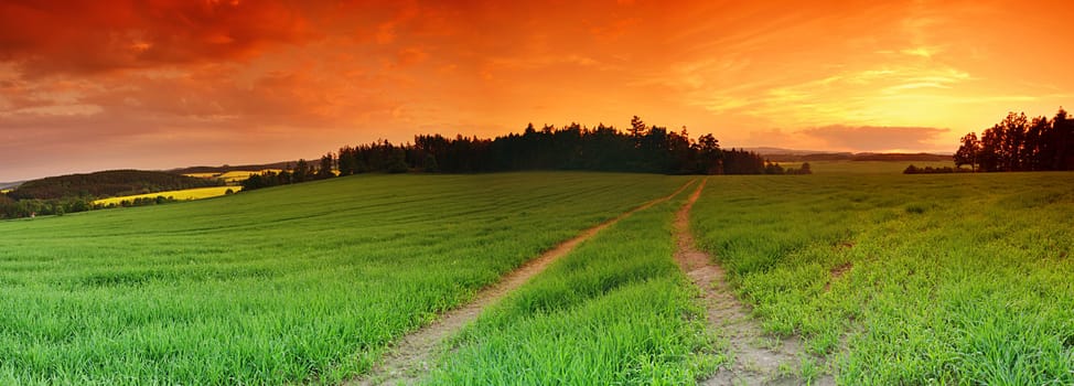 Beautiful landscape panorama with green field and setting sun