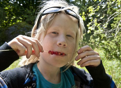 Young boy eating wild strawberries from a straw