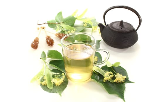 fresh hot lime blossom tea on a bright background