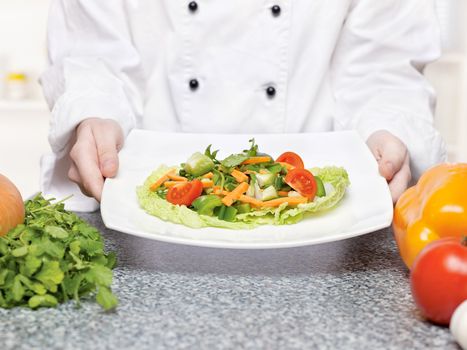 Chef holding salad meal on plate