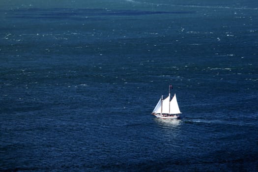 Sailboat in the bay near San Fransico with nice blue water.