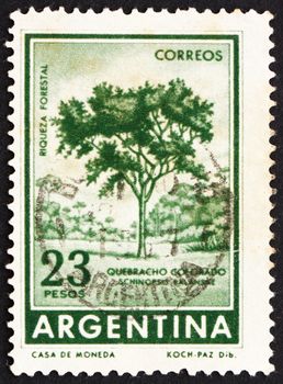 ARGENTINA - CIRCA 1965: a stamp printed in the Argentina shows Red Quebracho Tree, Schinopsis Lorentzii, circa 1965