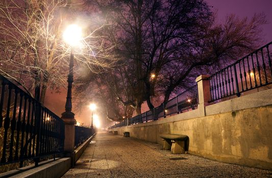 City street at night with trees and lamppost