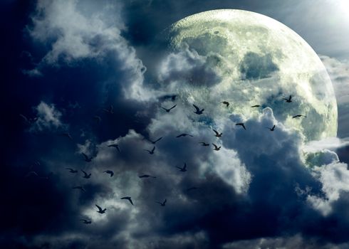 full moon landscape and flock of birds