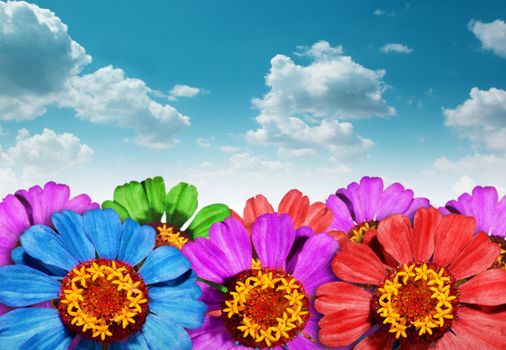 Floral background with blue sky