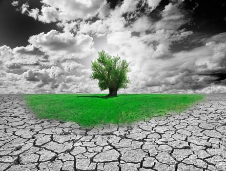 Concept of environment with tree and dry soil