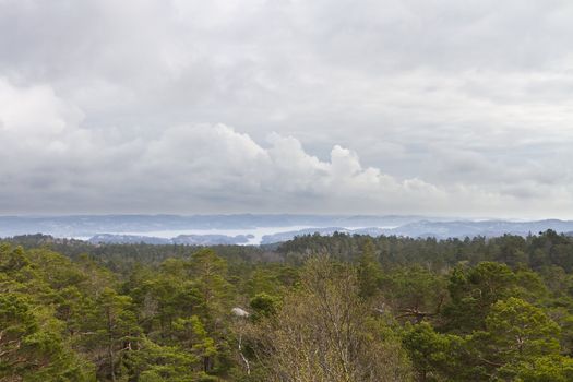 view over forest with cloudy sky - norway