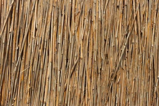 Fragment of reed fence as a texture