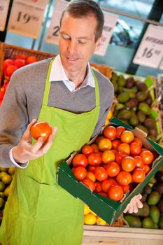 Closeup of a market assistant holding box of tomatoes in the supermarket