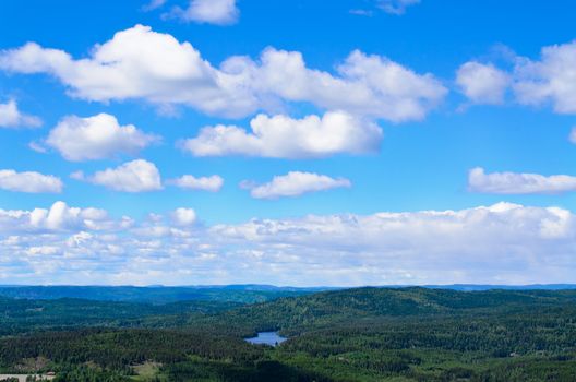 Forest lake in the Hills