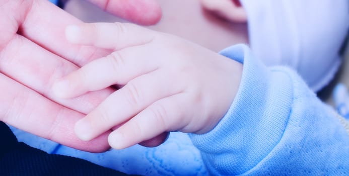 Four month baby hand close up