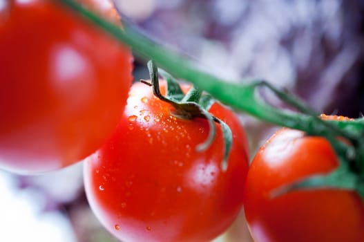 Ripe tomatoes close up