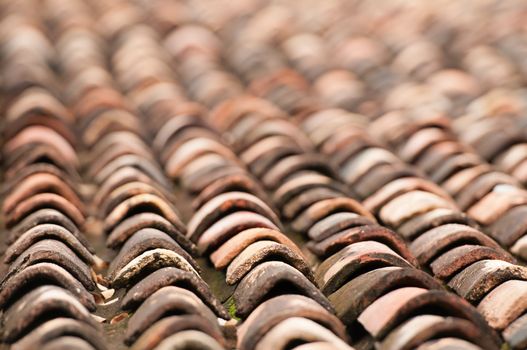 Old grunge tile roof with shallow depth of field 