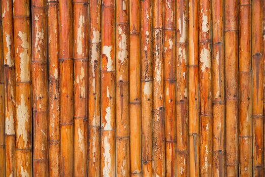 Grunge old bamboo fence background 