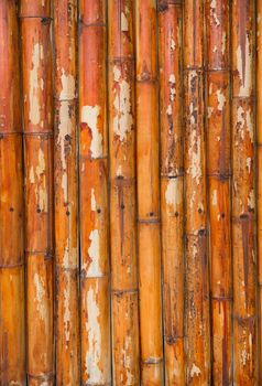 Grunge old bamboo fence background 