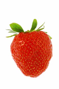 Fresh ripe healthy strawberry on a white background