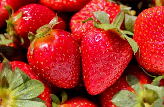 Strawberries