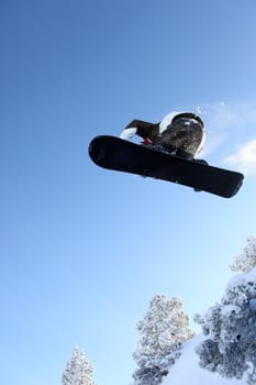 Male snowboarder performing trick