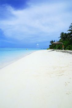 Beautiful maldivian beach with green bush and umbrella