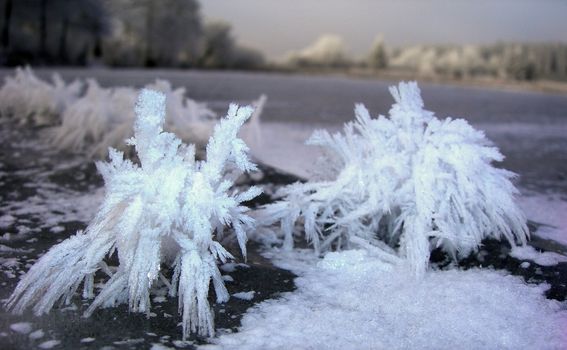 Flowing water in a brook is covered by clear ice