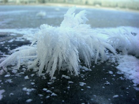 Flowing water in a brook is covered by clear ice