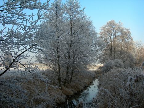 Beautiful winter landscape with trees covered by snow and frost