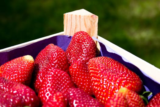 Some fresh strawberries in a little crate