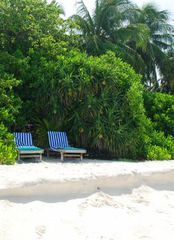 Sun bed on the beach under tropical palms in the Maldives