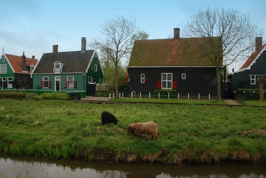 Traditional Dutch houses in town of Zaandam