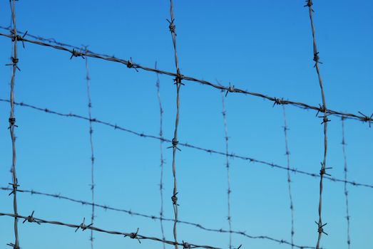 Detail of barbed fence against a blue sky