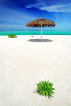 Beautiful white Maldivian beach with lonely parasol and turquoise sea