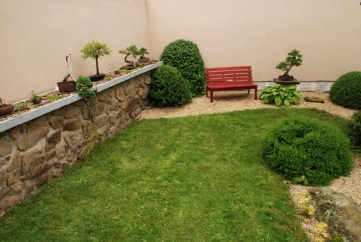 Bonsai tree still-life. Miniature in a peaceful Japanese garden.